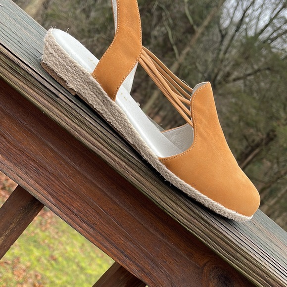 David Tate - Picture 2 of 5